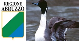 Regione Abruzzo Acquatici